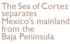 The Sea of Cortez separates Mexico's mainland from the Baja Peninsula.
