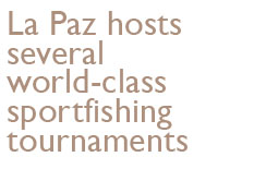 La Paz hosts several world-class sportfishing tournaments.