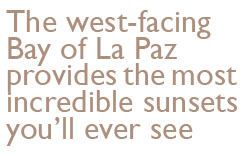 The west-facing Bay of La Paz
provides the most incredible sunsets you'll ever see.