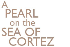 La Paz, A Pearl on the Sea of Cortez